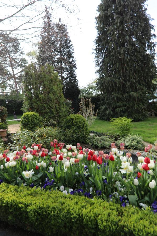 Hotel Weinlaube Koblenz  Bagian luar foto